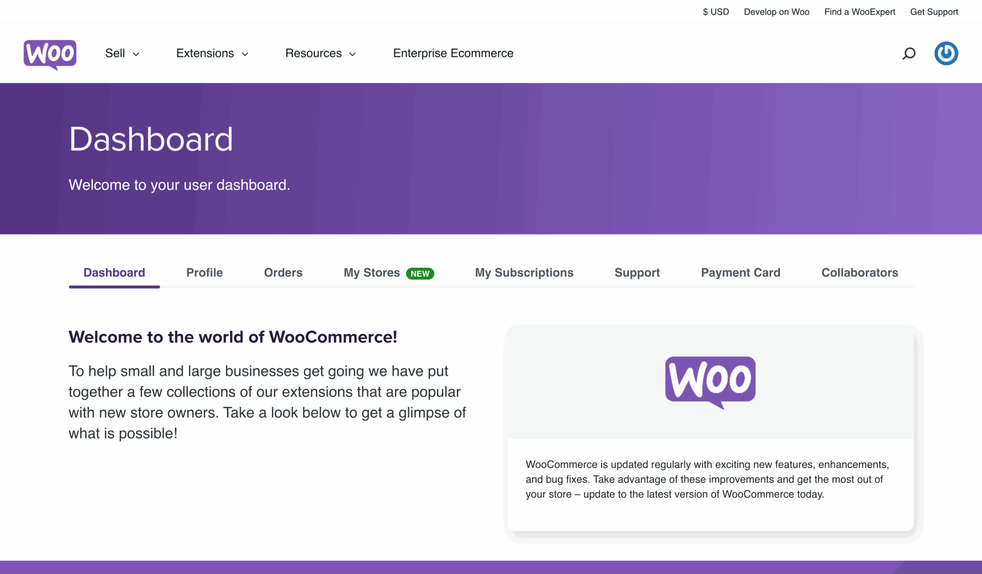 Onlineshop WordPress Köln