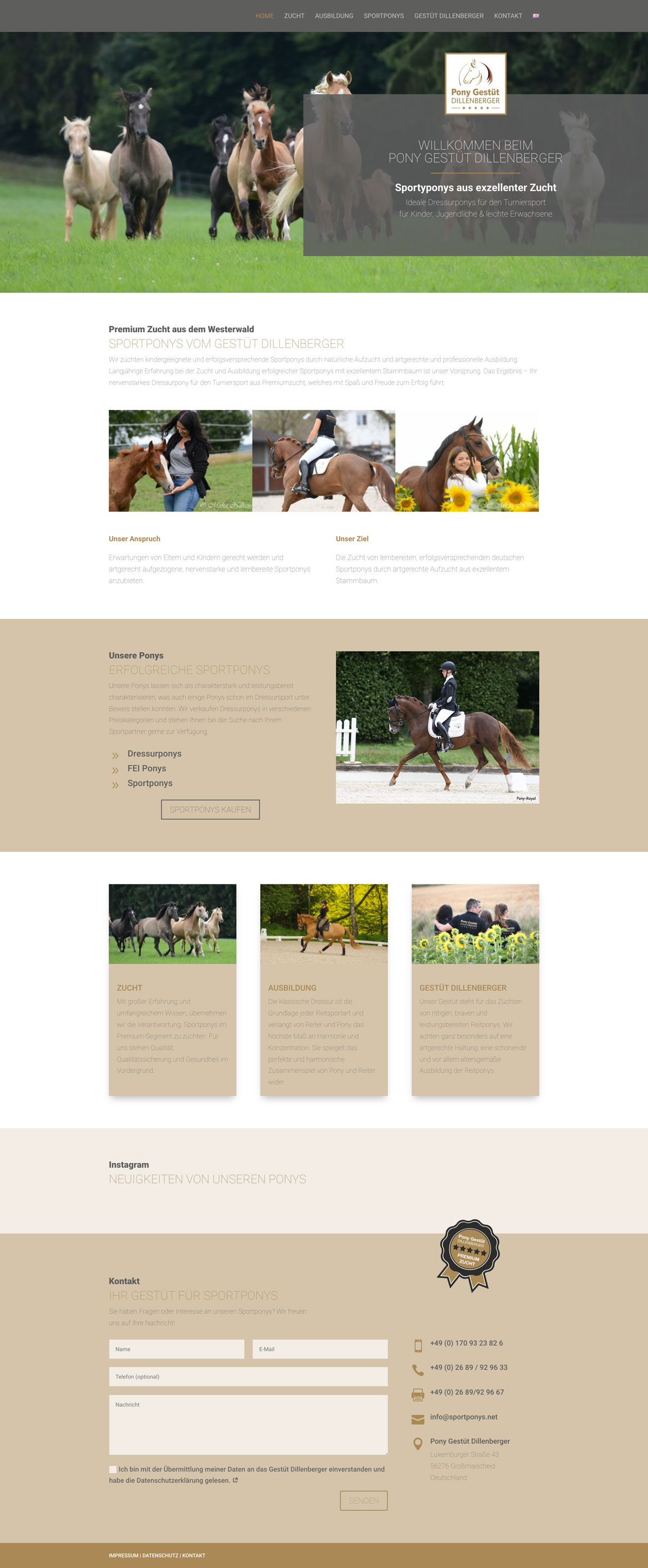 Ponygestuet Webdesign Köln